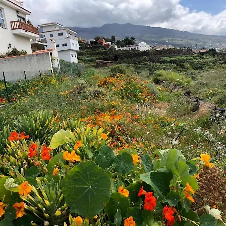Residenz Traumblick Puerto de la Cruz (Tenerife)
